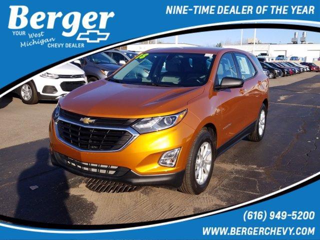 2018 Chevrolet Equinox LS for sale in Grand Rapids, MI