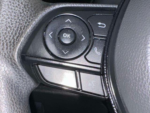 2020 Toyota RAV4 LE [17]