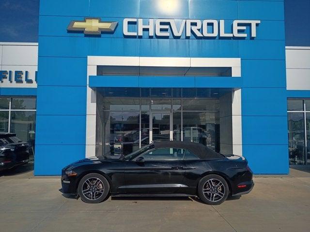 2020 Ford Mustang EcoBoost Convertible 2020 Ford Mustang EcoBoost Convertible