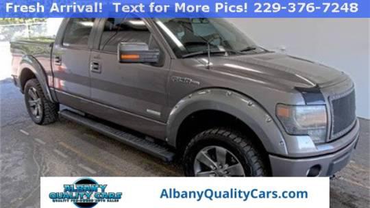 2013 Ford F-150 FX4 for sale in Leesburg, GA