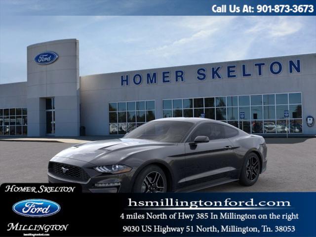 2022 Ford Mustang EcoBoost's photo