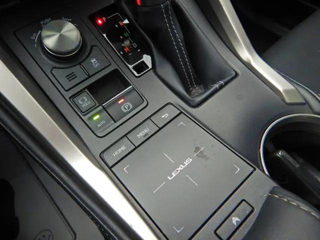 2021 Lexus NX 300 NX 300
