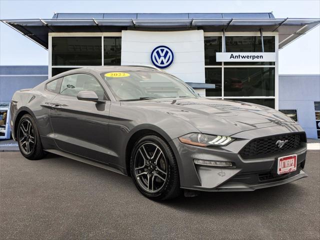 2022 Ford Mustang EcoBoost Premium Fastback 2022 Ford Mustang EcoBoost Premium Fastback