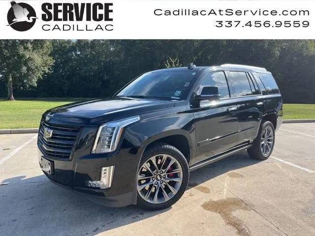 2020 Cadillac Escalade 4WD Platinum for sale in Lafayette, LA