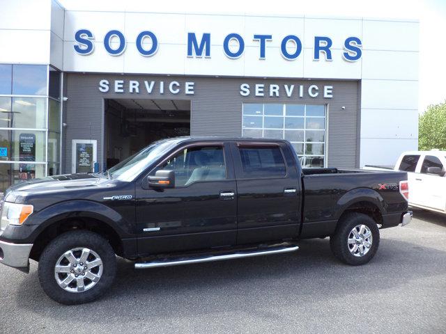 2014 Ford F-150 XLT for sale in SAULT S MARIE, MI