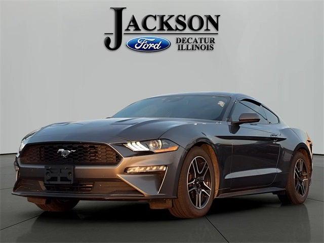 2022 Ford Mustang EcoBoost Premium Fastback 2022 Ford Mustang EcoBoost Premium Fastback