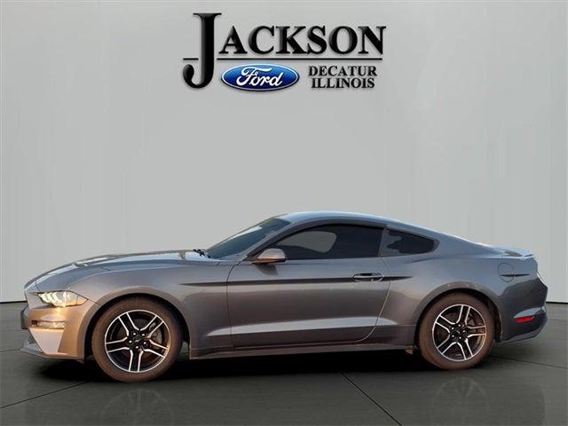 2022 Ford Mustang EcoBoost Premium Fastback 2022 Ford Mustang EcoBoost Premium Fastback