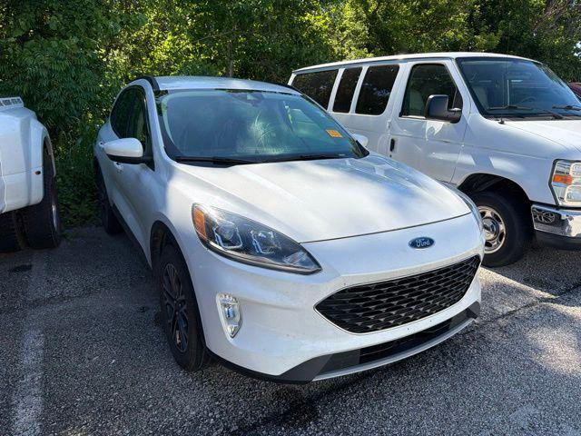 2020 Ford Escape SEL for sale in Bedford, IN