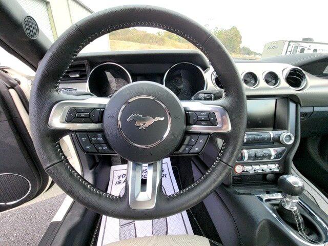 2015 Ford Mustang GT 50 Years Limited Edition