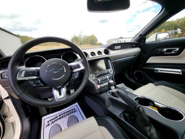 2015 Ford Mustang GT 50 Years Limited Edition
