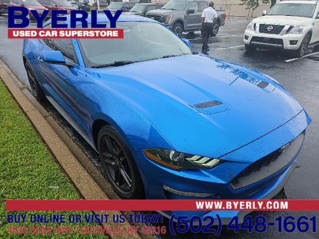 2019 Ford Mustang EcoBoost for sale in Louisville, KY