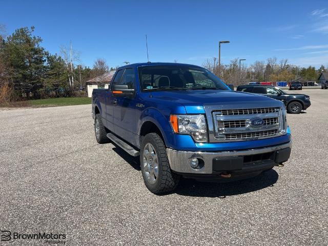2014 Ford F-150 XLT for sale in Petoskey, MI