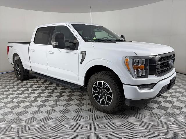 2023 Ford F-150 XLT for sale in Denver, CO