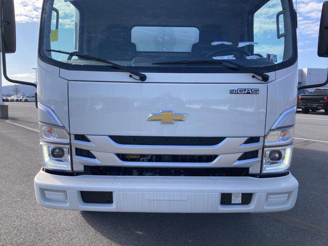 2024 Chevrolet 3500 LCF Gas 2WD Reg Cab 132.5"