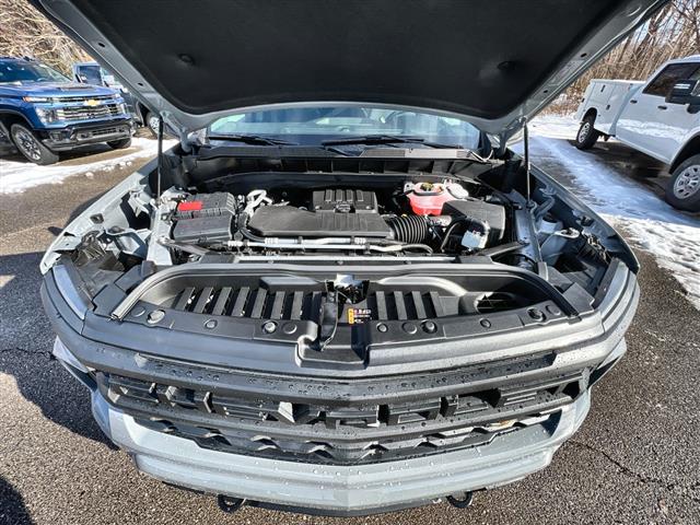 2024 Chevrolet Silverado 1500 4WD Crew Cab Short Bed Custom