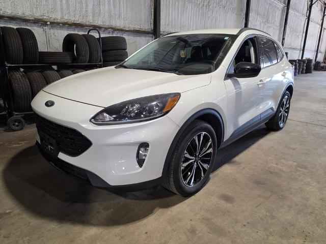 2021 Ford Escape SEL for sale near Chillicothe, OH