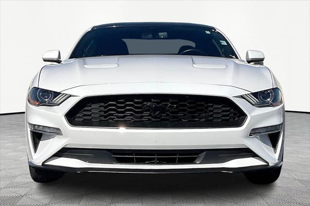 2020 Ford Mustang EcoBoost Fastback 2020 Ford Mustang EcoBoost Fastback