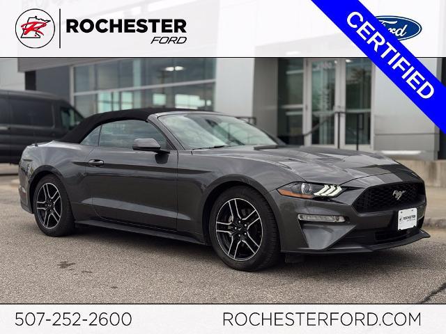 2020 Ford Mustang EcoBoost Premium Convertible for sale in Rochester, MN