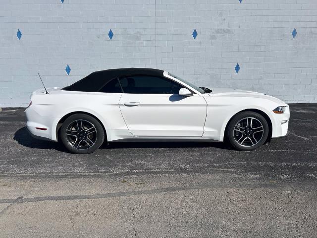 2021 Ford Mustang EcoBoost Premium Convertible for sale near Celina, OH