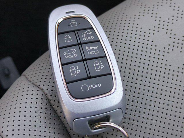 2024 Hyundai IONIQ 5 Disney100 Platinum Edition