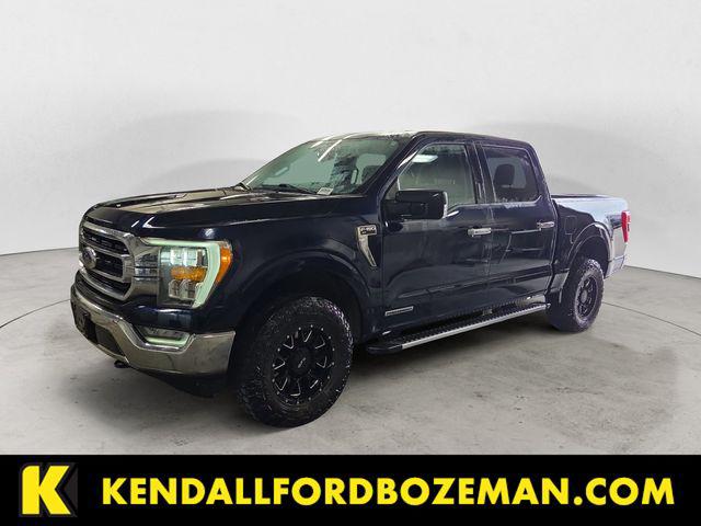2023 Ford F-150 XLT for sale in Bozeman, MT