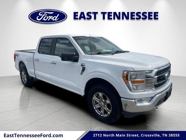2021 Ford F-150 XLT for sale in Crossville, TN