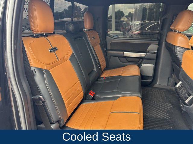 2021 Ford F-150 Platinum
