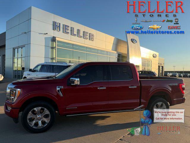 2023 Ford F-150 Platinum for sale in El Paso, IL