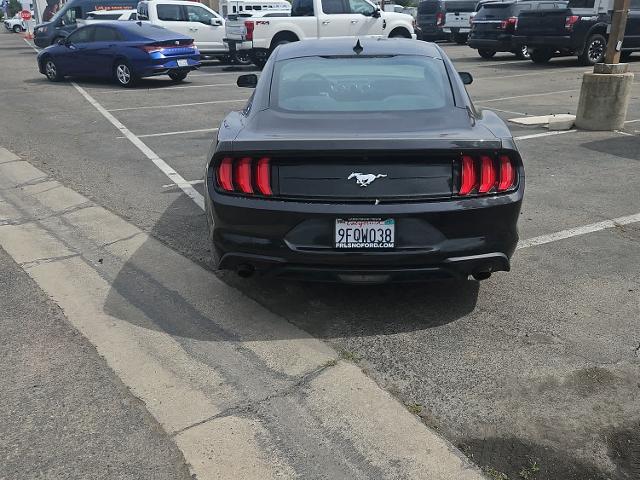2023 Ford Mustang EcoBoost Fastback