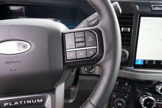 2024 Ford F-250 Platinum