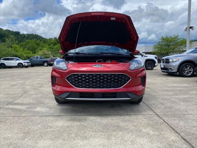 Used 2020 Ford Escape For Sale in Pikeville, KY