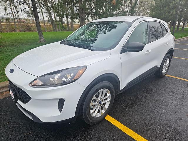 2022 Ford Escape SE for sale in Cody, WY