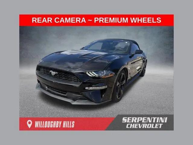2019 Ford Mustang EcoBoost Premium for sale in Willoughby Hills, OH