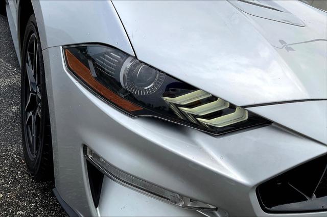 Used 2019 Ford Mustang For Sale in Olive Branch, MS