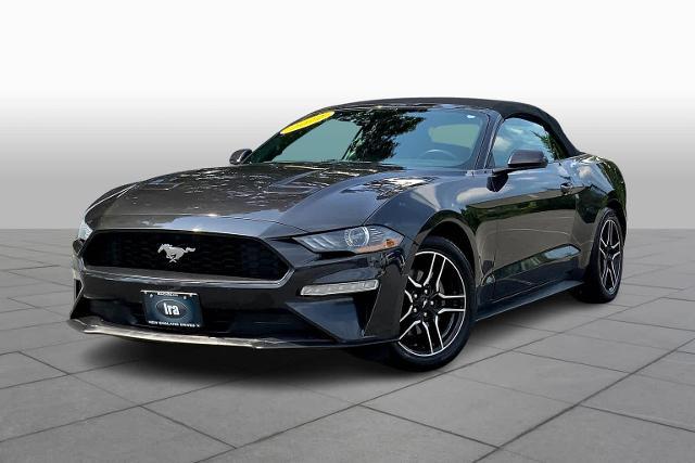 2022 Ford Mustang EcoBoost Premium Convertible for sale in Auburn, MA