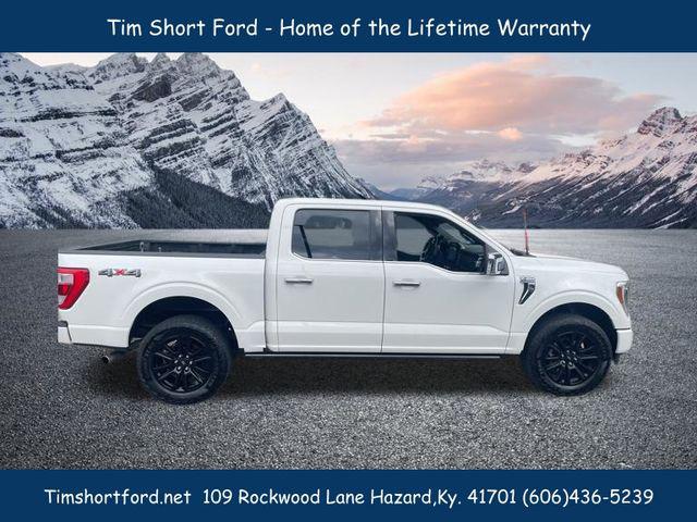 2023 Ford F-150 Platinum