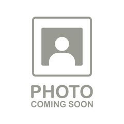 2019 Ford F-150 XL for sale in Milford, CT