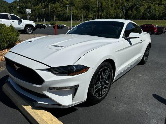 Used 2019 Ford Mustang For Sale in Pikeville, KY