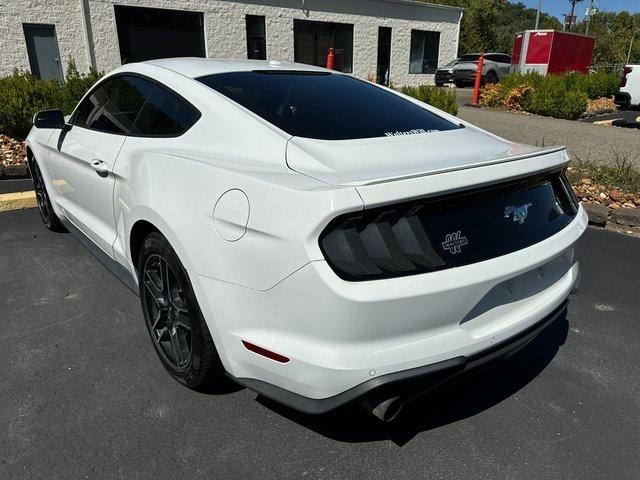 Used 2019 Ford Mustang For Sale in Pikeville, KY