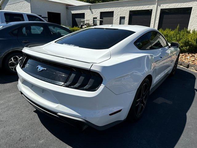 Used 2019 Ford Mustang For Sale in Pikeville, KY