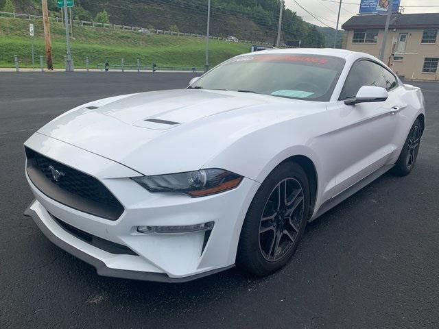 Used 2019 Ford Mustang For Sale in Pikeville, KY