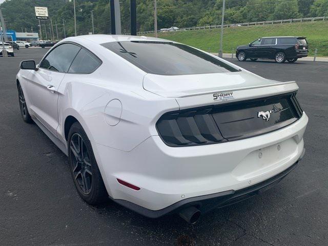 Used 2019 Ford Mustang For Sale in Pikeville, KY