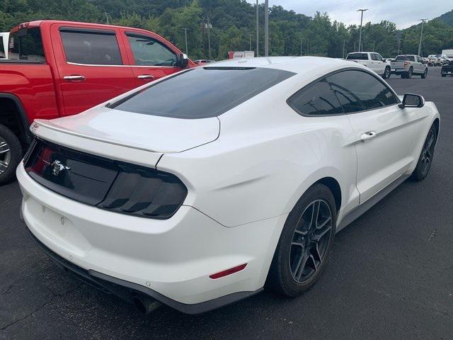 Used 2019 Ford Mustang For Sale in Pikeville, KY