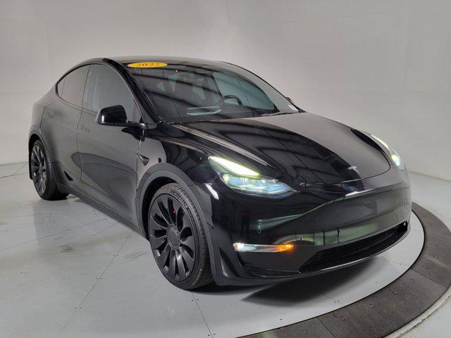 Model Y [1]