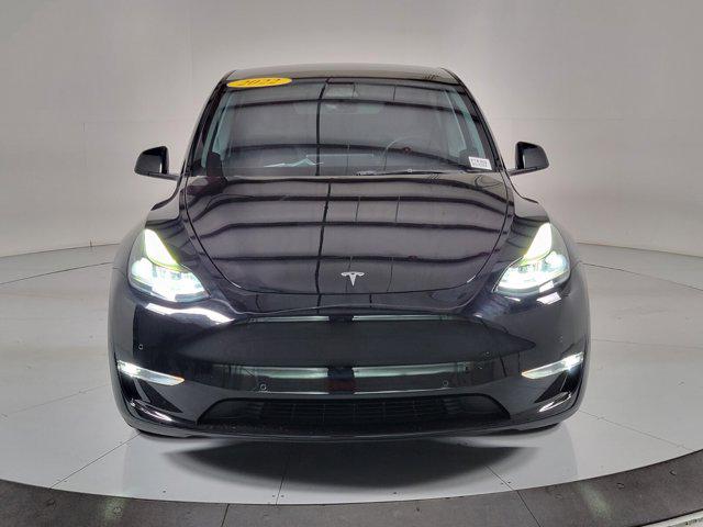 Model Y [7]