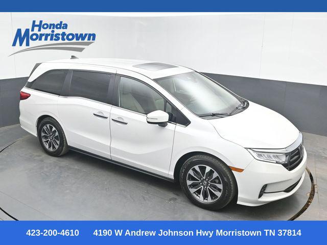 2023 Honda Odyssey EX-L for sale in Morristown, TN