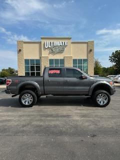 2009 Ford F-150 FX4 for sale in Appleton, WI
