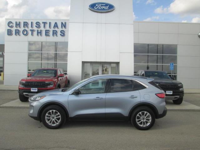 2022 Ford Escape SE for sale in Crookston, MN