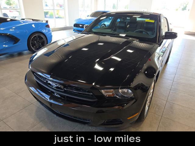 2012 Ford Mustang V6 Premium for sale in Sterling Heights, MI