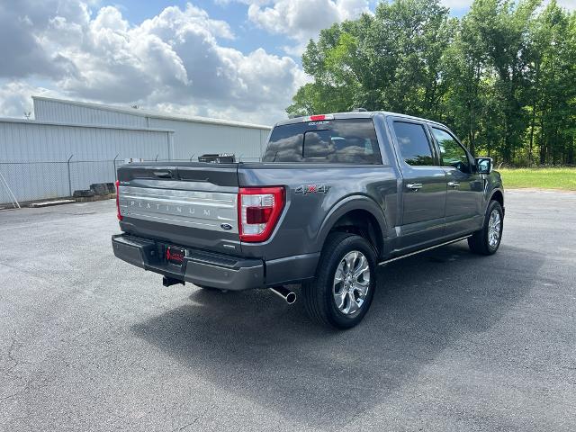 2023 Ford F-150 Platinum